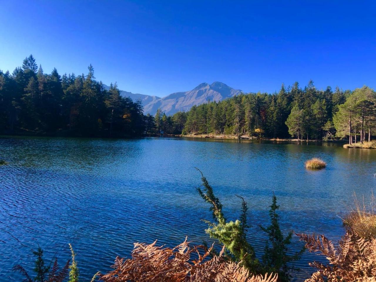 Hotel Menthof Ζέεφελντ Εξωτερικό φωτογραφία
